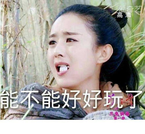 赵丽颖为看张碧晨演唱会两天没换衣服,连袜子也不换太厉害了吧