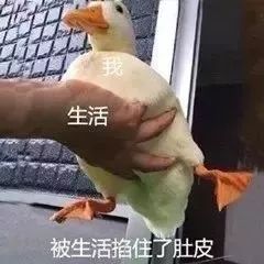 比心表情包完整版领头