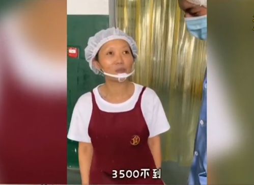 我打死不信包粽子比白领工资还高进来一看,我服了