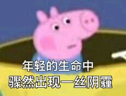 你的表情包该换血了保证你出门斗图再也不输