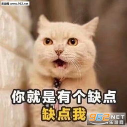 猫咪土味撩人情话表情图片我是九你是三除了你还是你情话表情包下载乐游网游戏下载