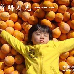 赣南脐橙20斤零起拍哄老婆哄孩子买兰再也不挨骂