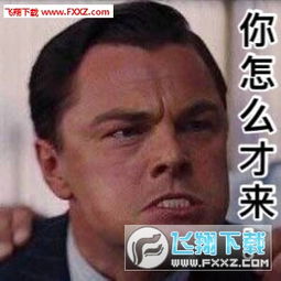 小李子莱昂纳多微博表情包下载小李子表情包带文字版下载飞翔下载