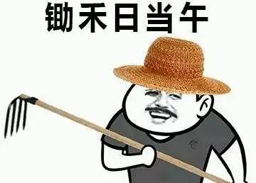 北大清华毕业去养猪年薪48万还有哪些好就业的冷门专业