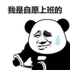 无实习经历,双非院校的我,还要参加校招吗