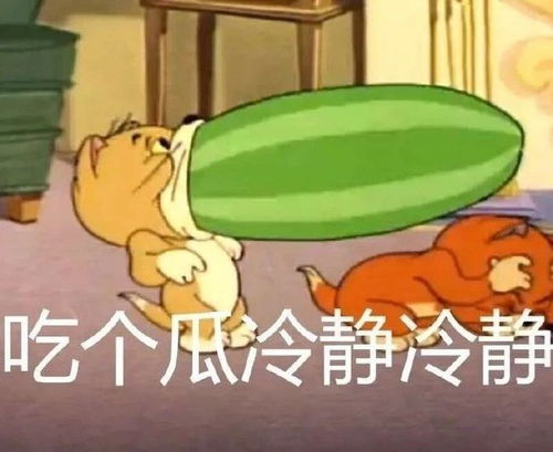热门表情包图片猫和老鼠等着你