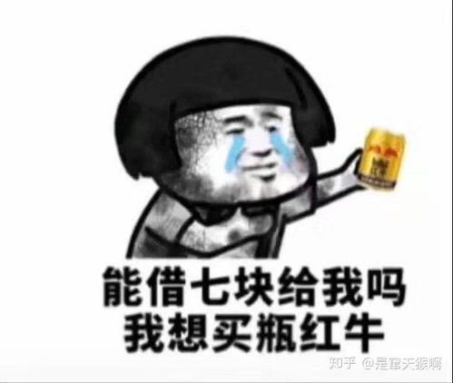 太热表情包小熊猫