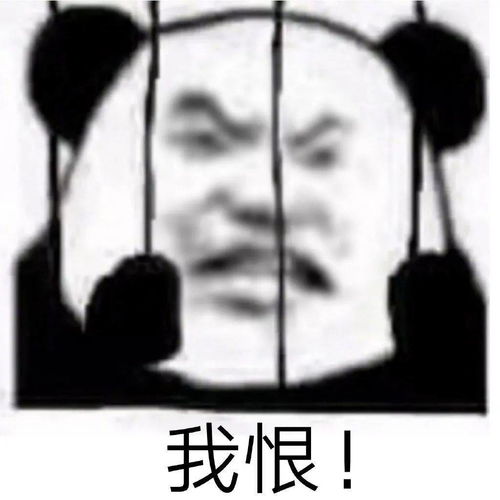 为什么网上的帅哥现实中永远见不到哈哈哈丧心病狂