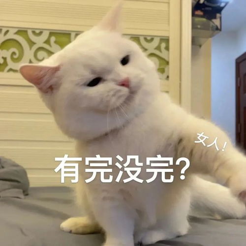 女生喜欢用的可爱表情包