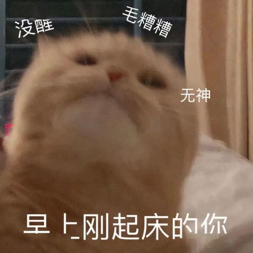 抖音热门表情包