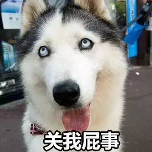 我不傻,我只是二,哈...