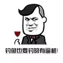 钓鱼人必备的表情包,手有图心不慌