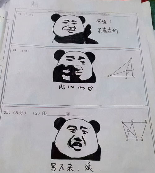 罗老师表情包动画卷子