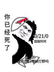 王者荣耀英雄国服最强表情包拥有它上荣耀黄金就稳了