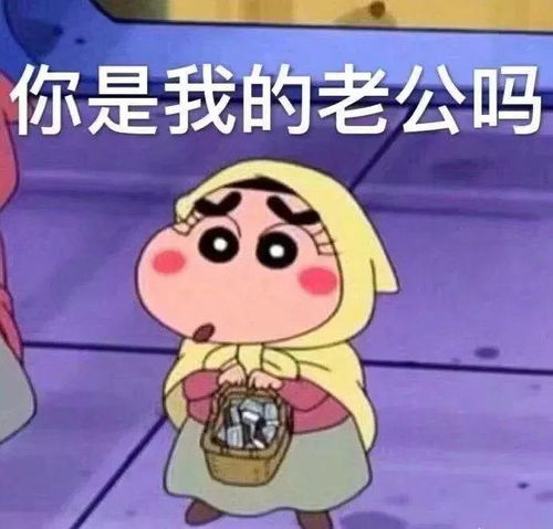 今日表情推荐,531