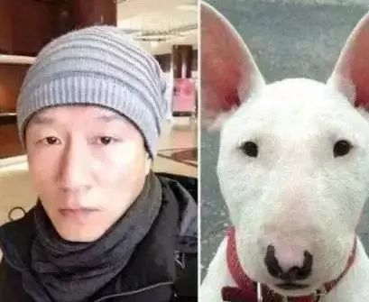 撞脸动物表情的明星,网友王俊凯赵丽颖的样子绝对会萌到你