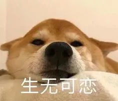 张俪纵美水光霜,直男对化妆的理解仿佛是一个智障,分分钟逼疯女友