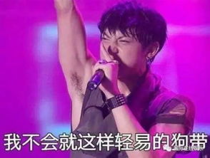 hi,你有freestyle吗