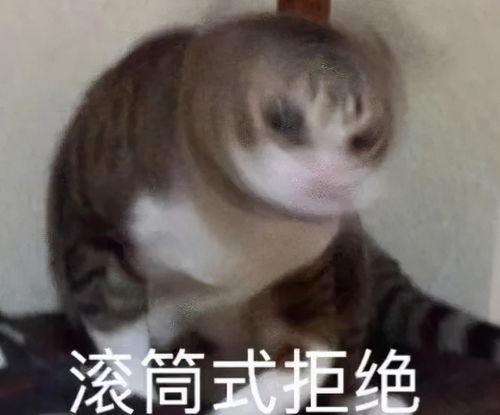 喝完香飘飘的奶茶自热锅,我再也嗨不起来了