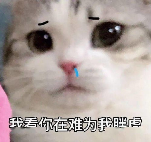 套路表情包能跟我处对象吗