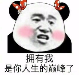 如果要在你的名字前加个词,我希望是记者团
