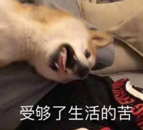 爸妈为了把你嫁出去,曾做过哪些丧心病狂的事儿