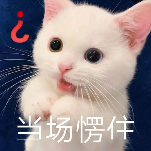 来自小朋友的鸡汤谢谢,有被鼓励到