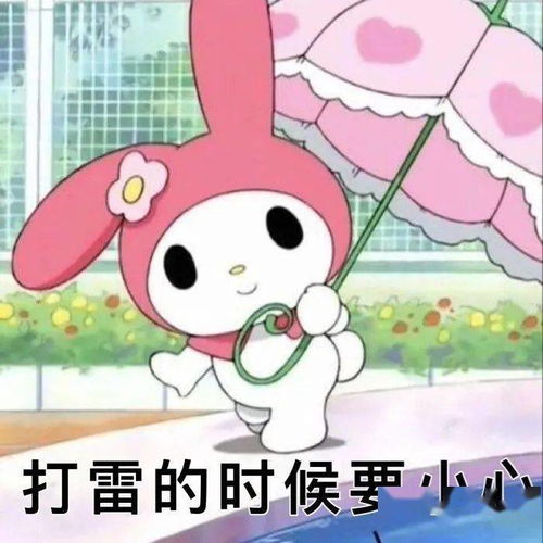 孙一宁王思聪聊天记录表情包,我命油我不油天