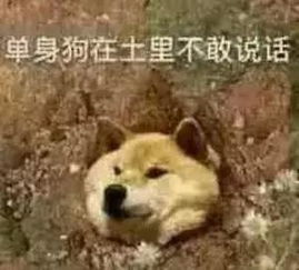 爱我你怕了吗理工科学霸刘凯教你正确追女神的新姿势