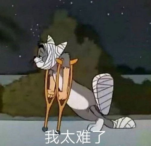 夜神月熊猫表情包武功