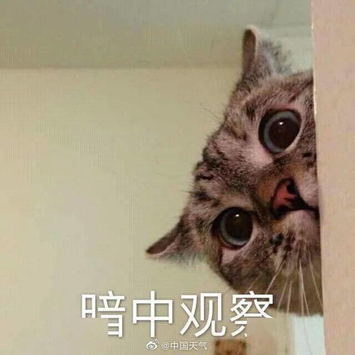 冷空气强势南下,台风沙德尔加强至13级接下来开平的天气