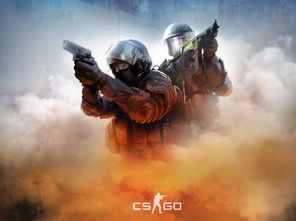 csgo冬瓜强表情包cs