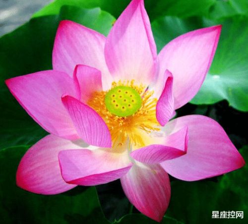 此3生辰生的人,30岁前不起眼,30岁后声名鹊起,发展劲头猛