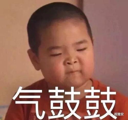 如果你今天没有去名山,你可以打开无线雅安app