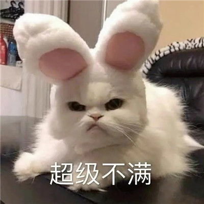 对付杠精的热门表情包图片