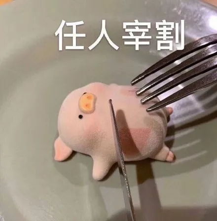 我要在豆瓣嘴组卖安利没错糊得就像我的安利
