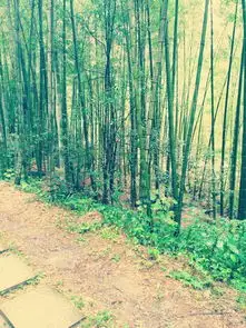 宜春游记