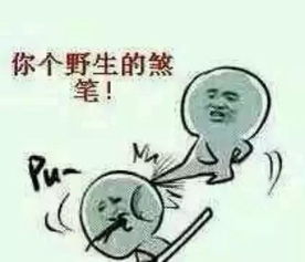 各省人民都有哪些神奇技能看到福建人笑屎了