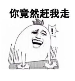 谁有这张图把头发吹掉的呢暴漫表情搞笑图片风把头发吹跑了