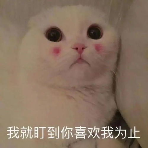 初恋脸的她,竟然有颗猛男心
