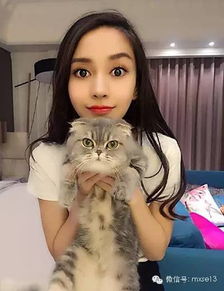 林允baby杨幂你们的图p成这样,能让人不吐槽吗