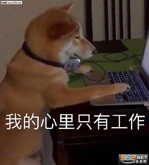 我孤独啊表情包图片没有意外应该可以鸽子表情包下载乐游网游戏下载