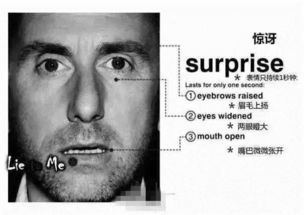 超级读心术一分钟让你看透他人所想