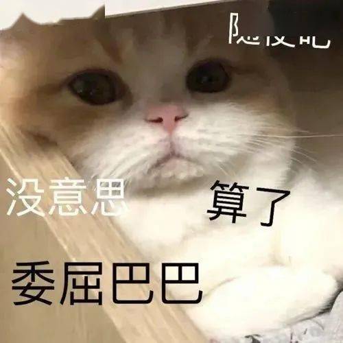 沙雕表情包谢谢你们百忙之中还来伤害我