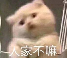 拒绝别人的表情包你想都不要想