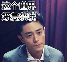 这个世界好复杂哦霍建华贱表情堆糖,美好生活研究所