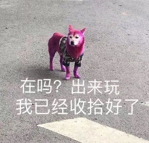 有朋友推荐一下让别人看了就想回的表情包吗