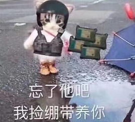 游戏热点丨你在吃鸡游戏看过真爱吗他们在舔我之吃鸡必备表情包
