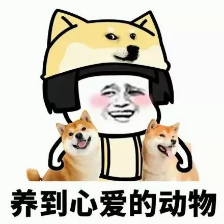 幽默表情包聊天微信春节