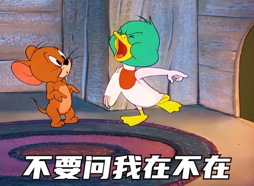 以后聊天,不要问我在不在表情包艾特你想艾特的人猫和老鼠